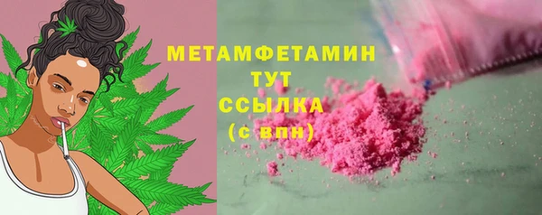 индика Михайловск