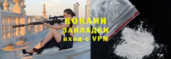 индика Михайловск