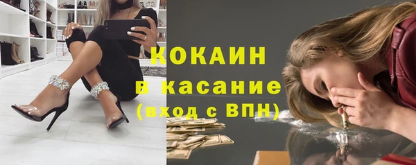 индика Михайловск