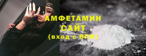 индика Михайловск