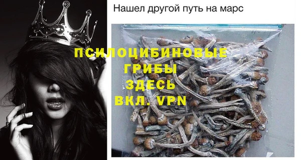 кокс Михайлов