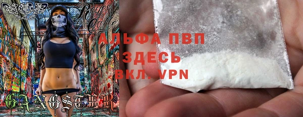 индика Михайловск