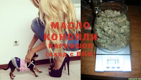 кокс Михайлов