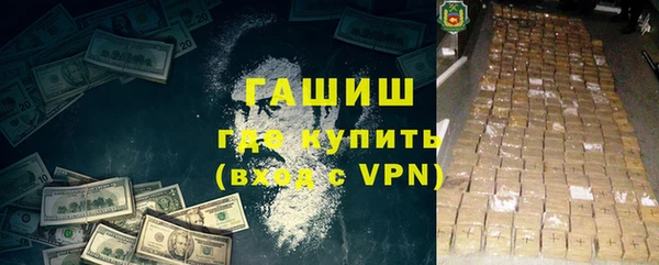 индика Михайловск