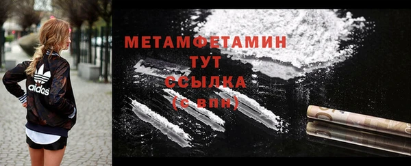 индика Михайловск