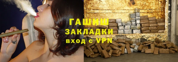индика Михайловск