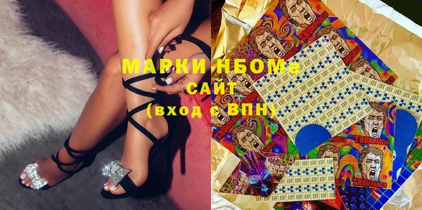 индика Михайловск