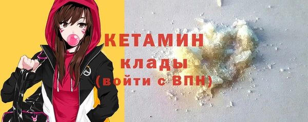 индика Михайловск