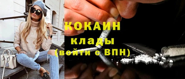 индика Михайловск