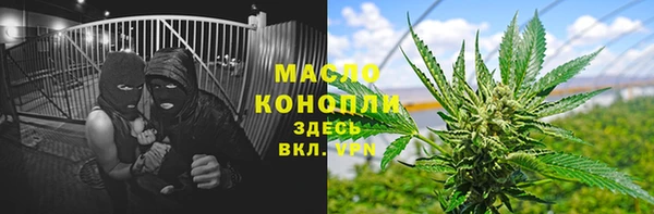индика Михайловск