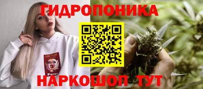 a pvp Канаш