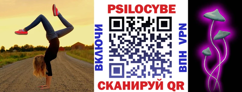 как найти закладки  Тольятти  Псилоцибиновые грибы прущие грибы 