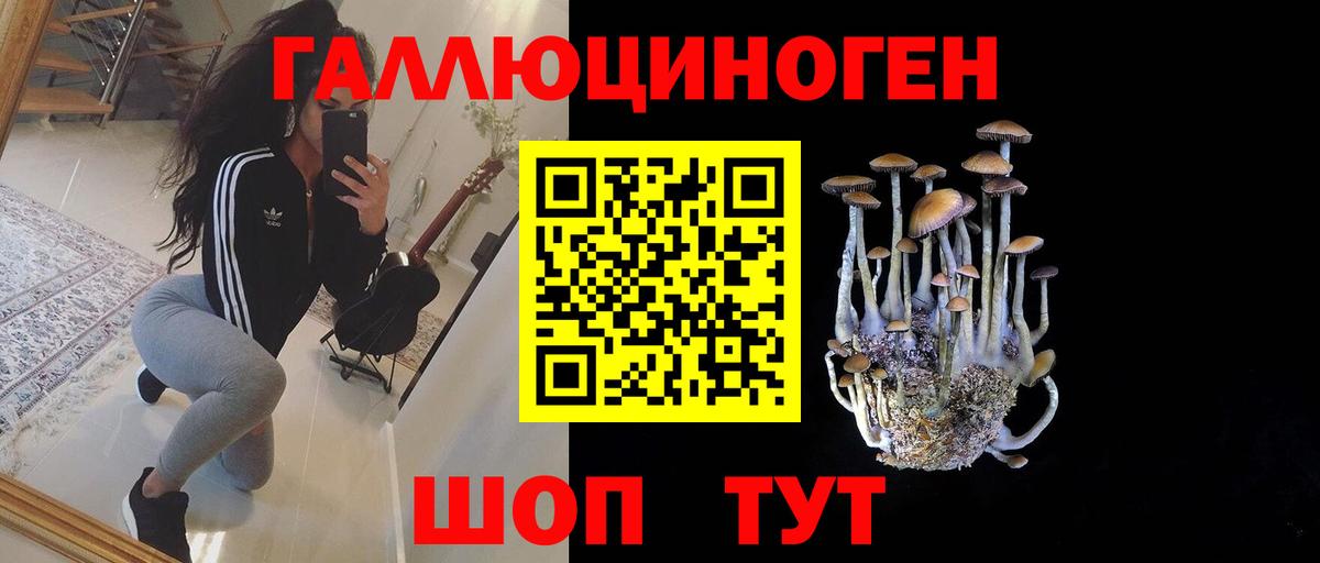 Псилоцибиновые грибы GOLDEN TEACHER  Вход с VPN  Тольятти 
